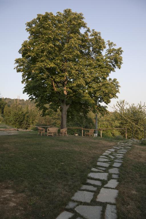 Crealto Villa Alfiano Natta Bagian luar foto