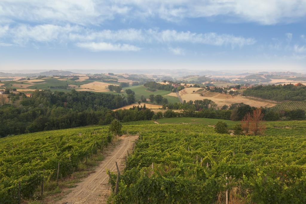 Crealto Villa Alfiano Natta Bagian luar foto